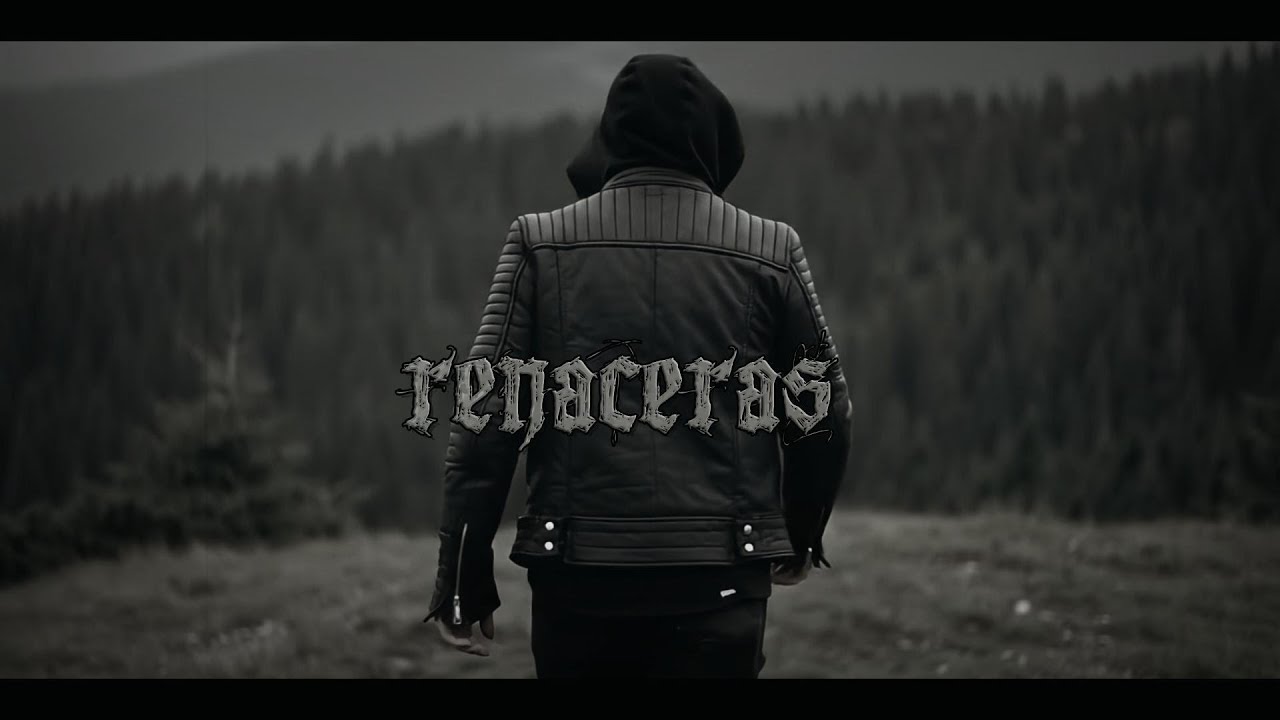 Ensamble – Renace | Lyric Video