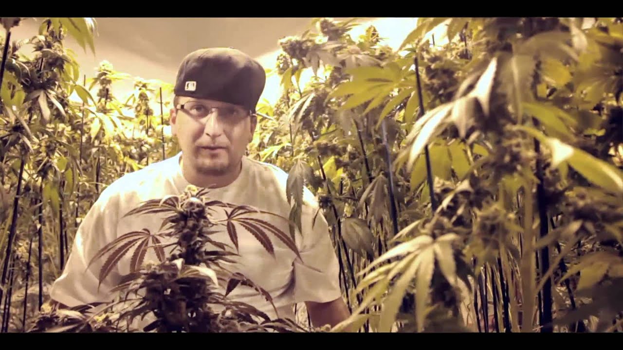 Wiz Kalifa ft. Mac Miller - In The Garden [Official Video] + [Download Link]