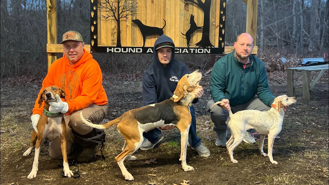 SQUIRREL HUNTING: USDC COMP HUNT