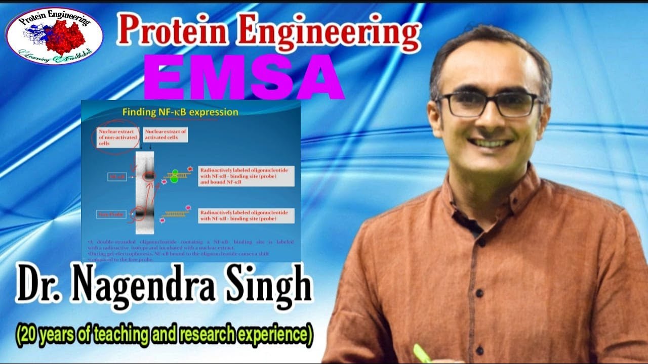 Electrophoretic Mobility Shift Assay | EMSA | Gel Retardation Assay | Gel Shift Assay | PENS#91