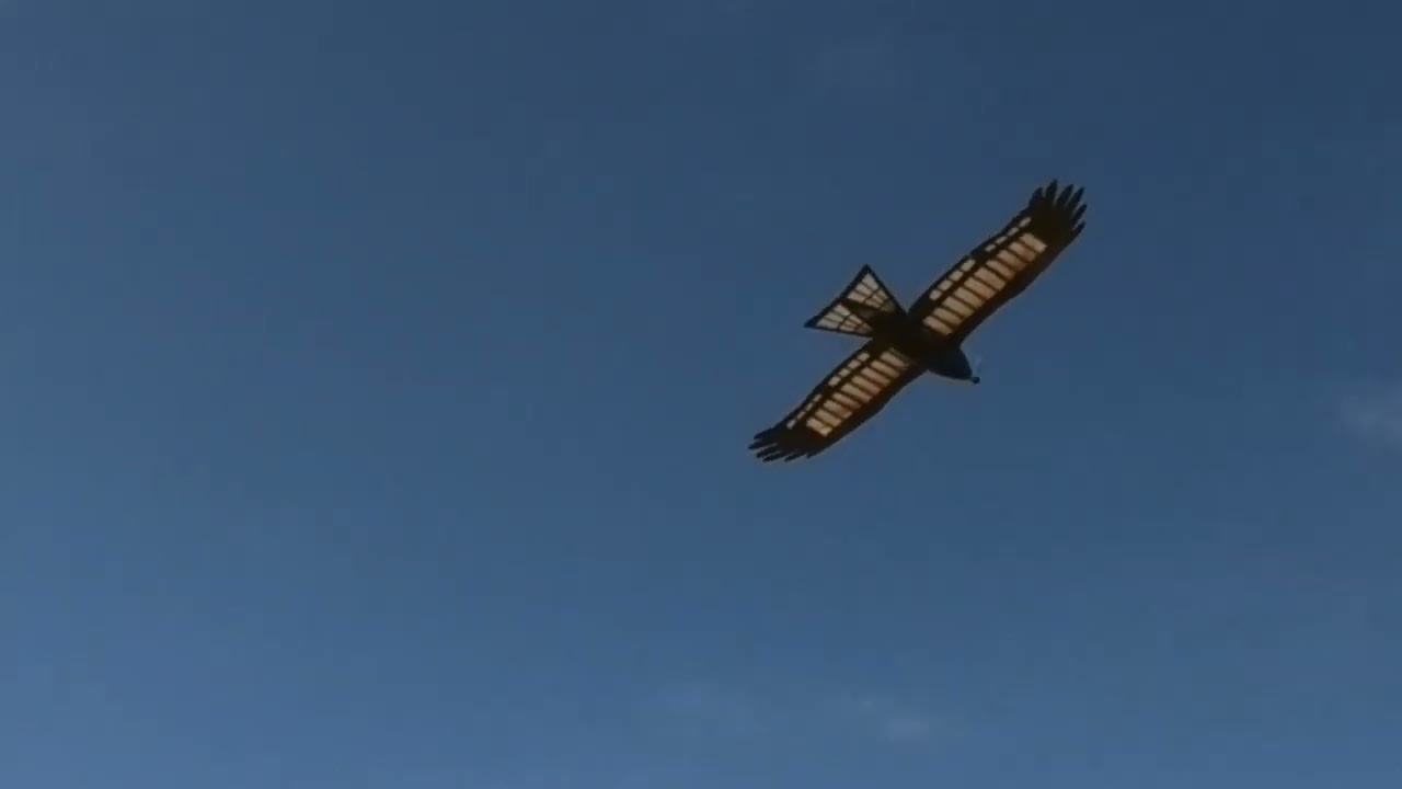 無垂直尾翼鳥型機：TOMBI 加速度センサーによる制御の効果は確認できなかった
