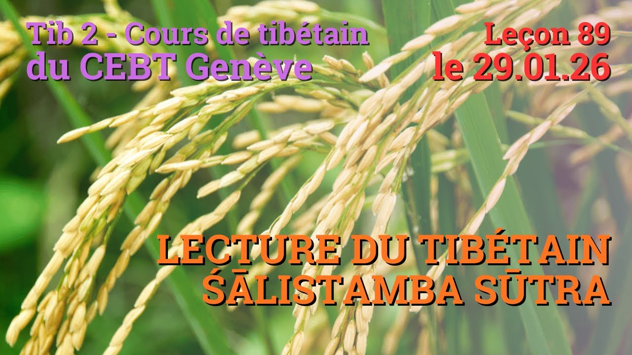 Tib 2 - Cours de tibétain ”pousse de riz” -  leçon 89, le 29.01.26