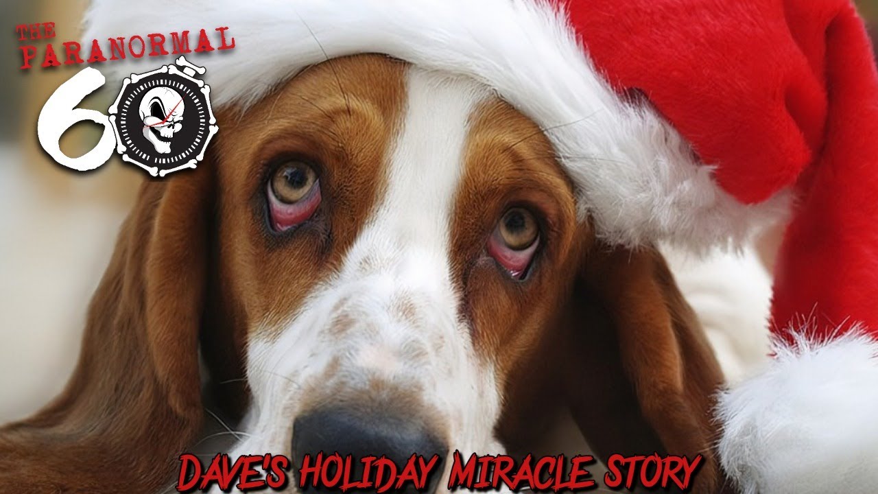 Dave's Holiday Miracle Story