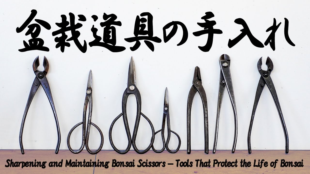 盆栽鋏の研ぎ方と手入れ～盆栽の命を預かる道具たち～