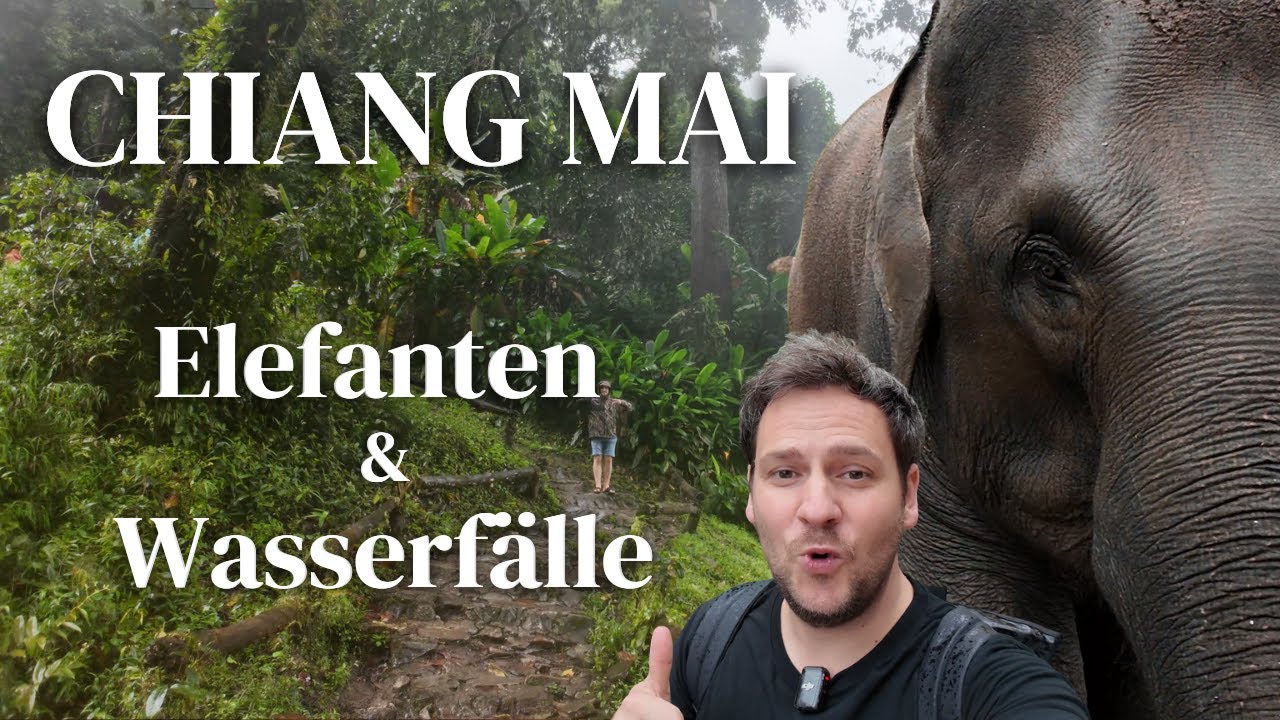 Chiang Mai - Ausflug zu den Elefanten, spektakulärem Wasserfall & dem höchsten Punkt Thailands