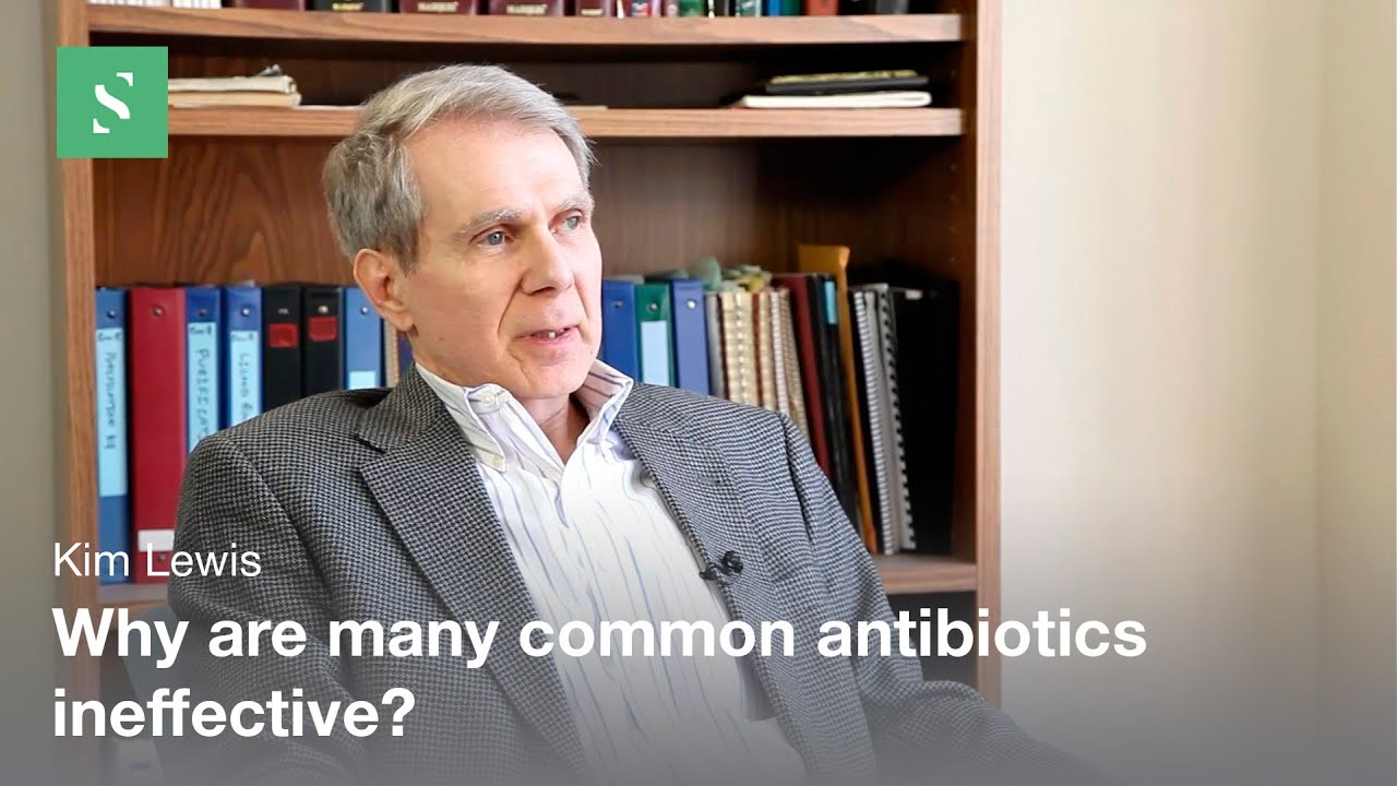 The Paradox of Chronic Infections - Kim Lewis