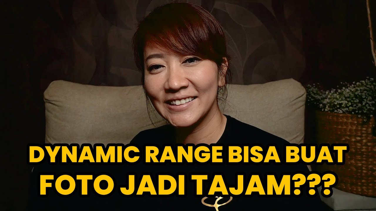 Apa itu Dynamic Range?