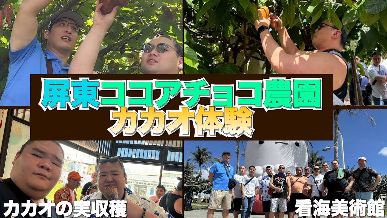 【台湾旅行】屏東ココアチョコ農園でカカオ体験！カカオの実収穫やカカオチョコアイスを食べて力士たちも満喫！