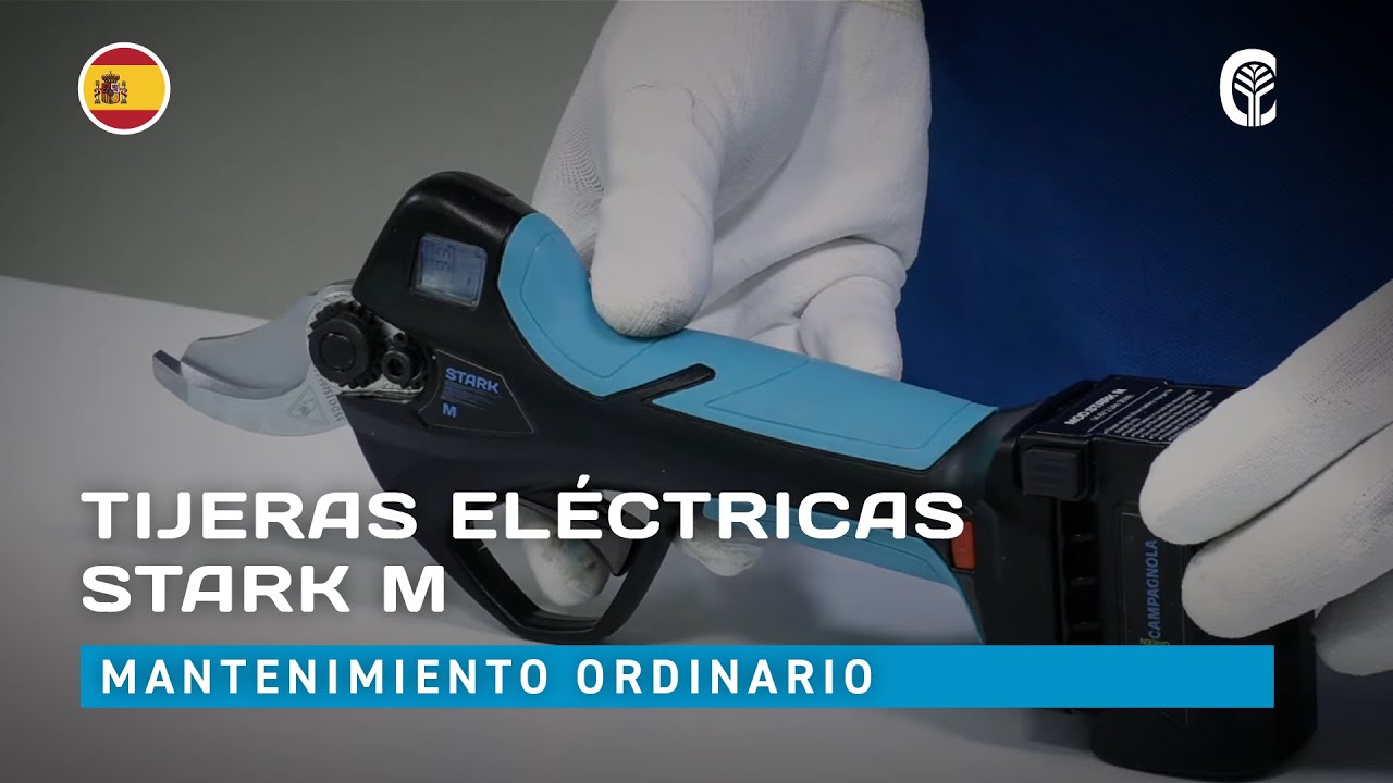 🇪🇸 Mantenimiento ordinario: CAMPAGNOLA STARK M