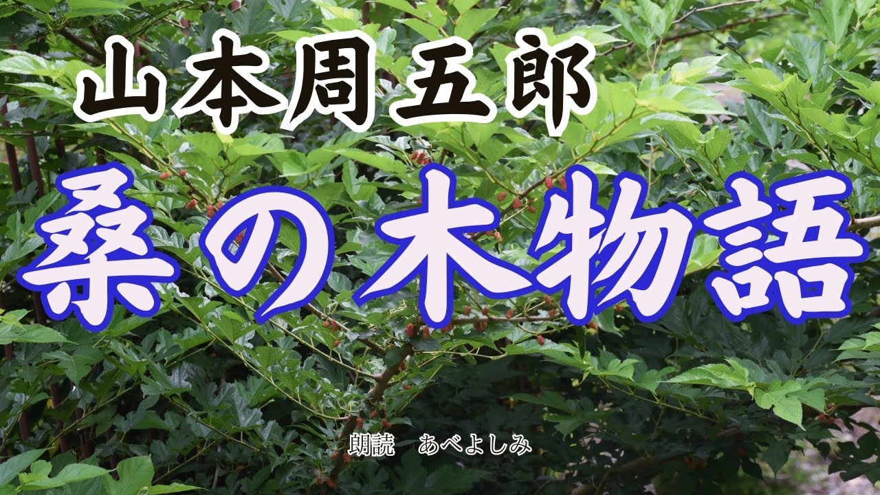 【朗読】山本周五郎「桑の木物語」　　朗読・あべよしみ