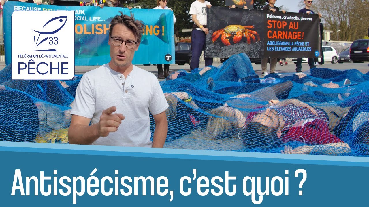 L'antisp&eacute;cisme, une id&eacute;ologie sans queue ni t&ecirc;te !