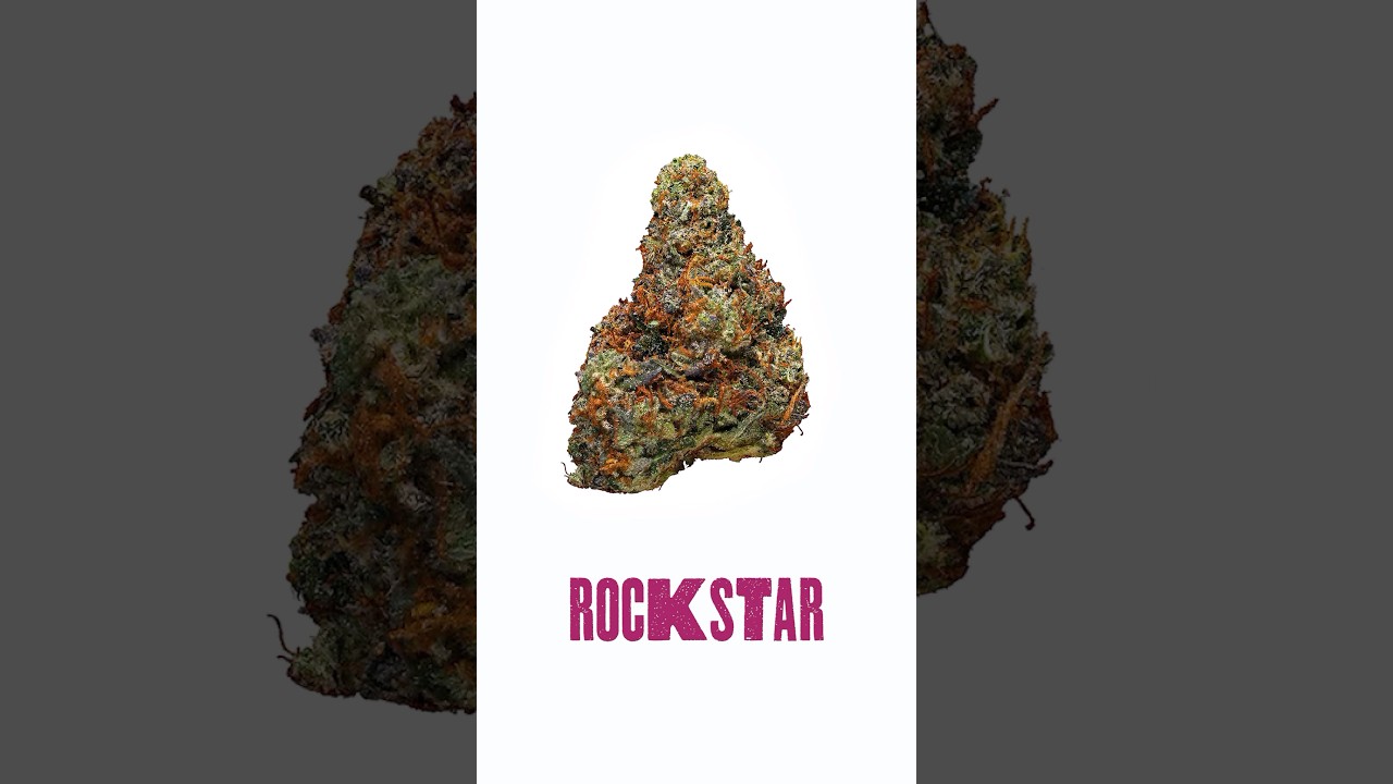I tried Rockstar #indica #bud #review #rockstar