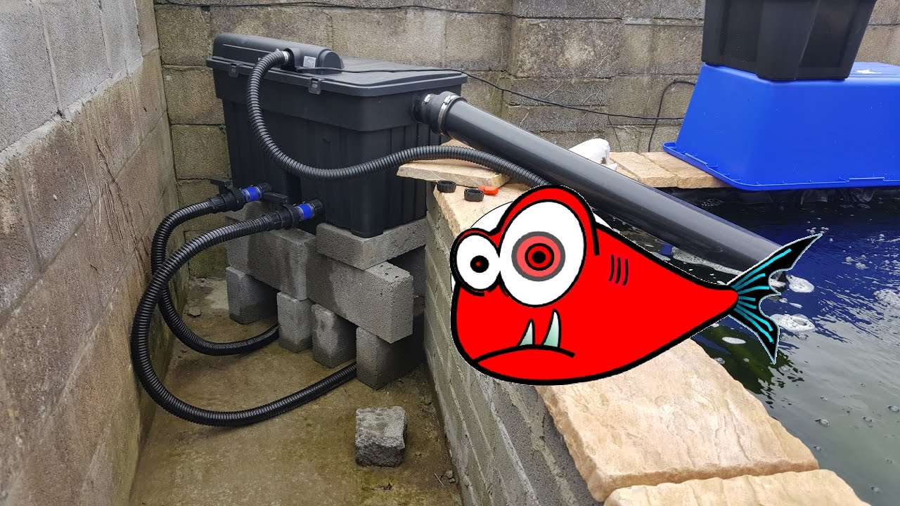 Koi Carp Pond Filter box pond maintenance 45000 litres pond filter box