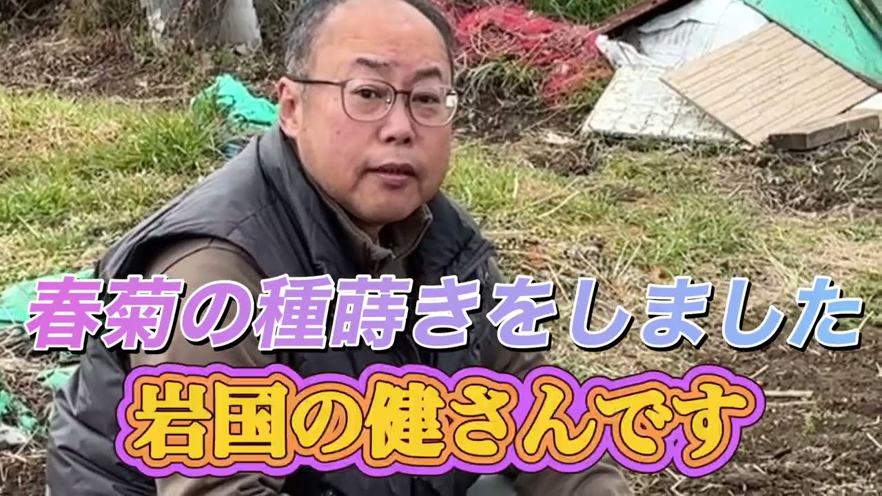 2026年 第一回目の春菊の種蒔き