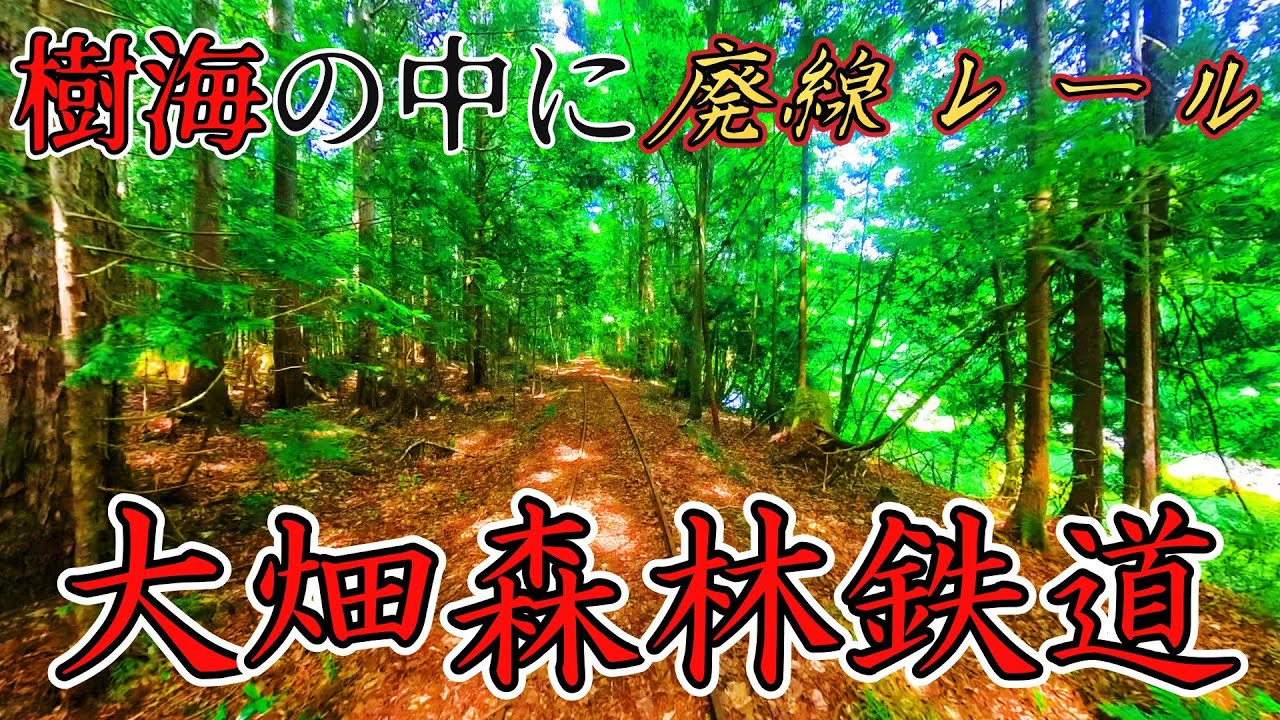 鬱蒼とした森の中に今も残る廃線レールの正体を突き止めました！