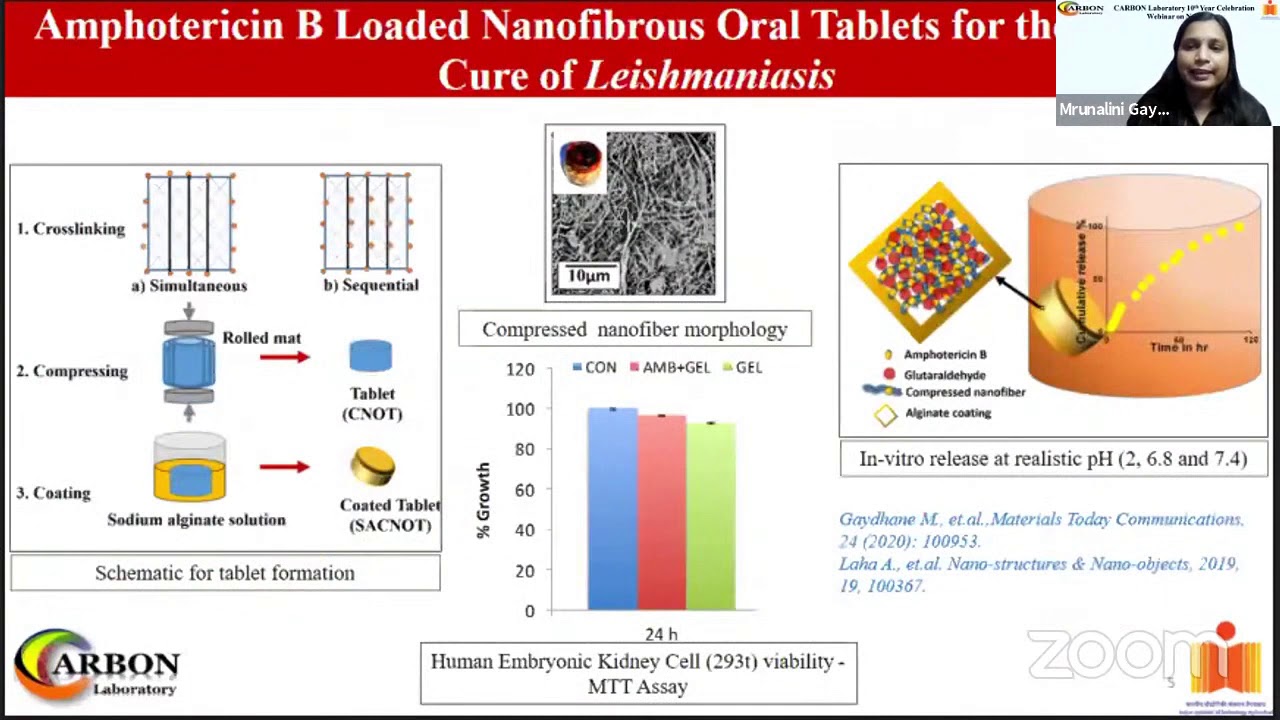 Carbon Lab 10th Anniversary Webinar 2: Carbon Lab Contribution in Nanofibers