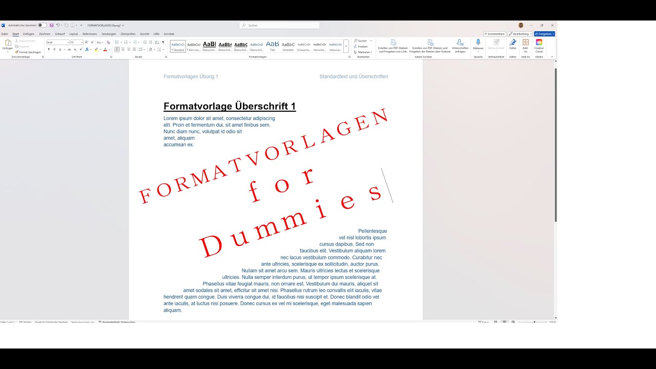 FORMATVORLAGEN for Dummies