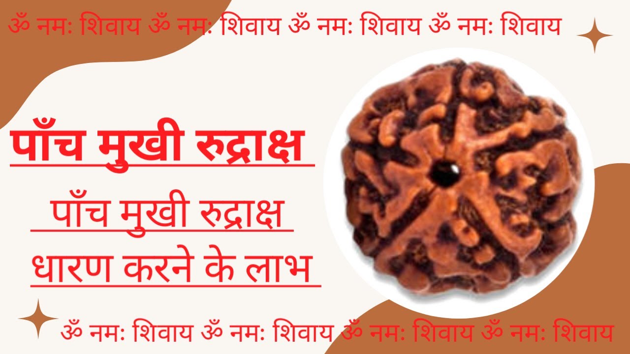 पांच मुखी रुद्राक्ष धारण करने के लाभ | Five Facing Rudraksha Benefits | 5 Mukhi | PRAVEEN KUMAR | 5