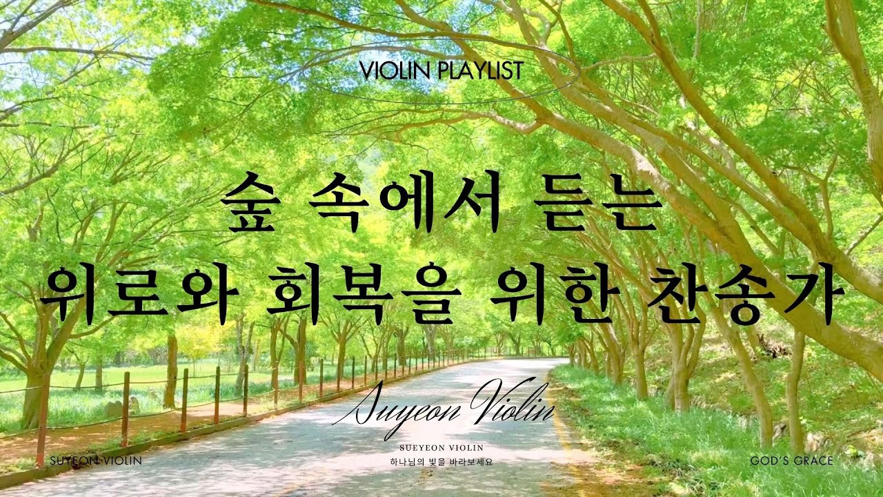 숲속 소리와 함께 듣는 위로와 회복을 위한 바이올린 연주 🎻⎪묵상,기도,위로,예배,QT,공부,숙면⎪(중간광고없음) Forest Sounds Violin Worship