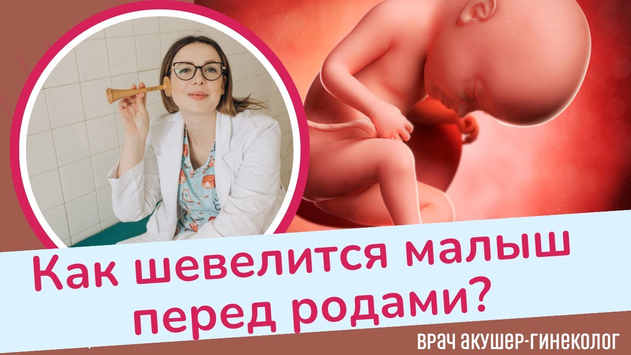 Что происходит с малышом во время беременности?