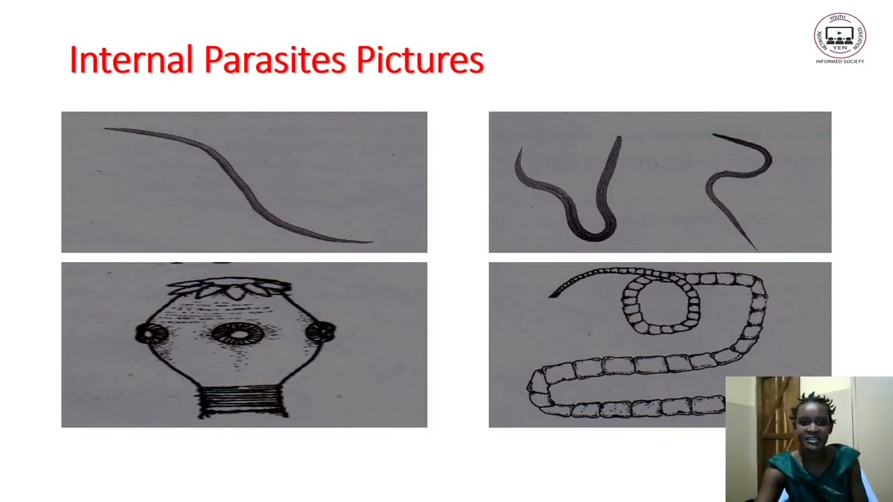 Agric F1 Topic 12 Part 5: Parasites for Chicken - YEN MALAWI