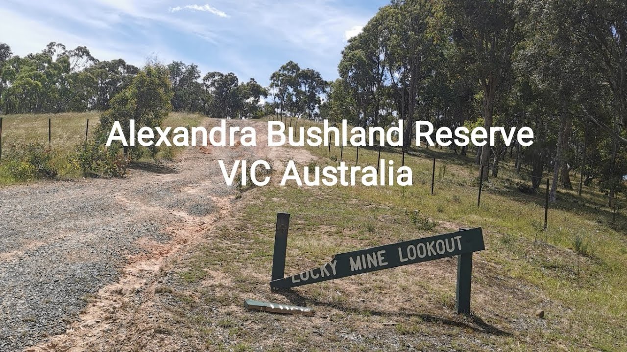 Alexandra Bushland Reserve VIC Australia #shortvideo @SPsiuping 