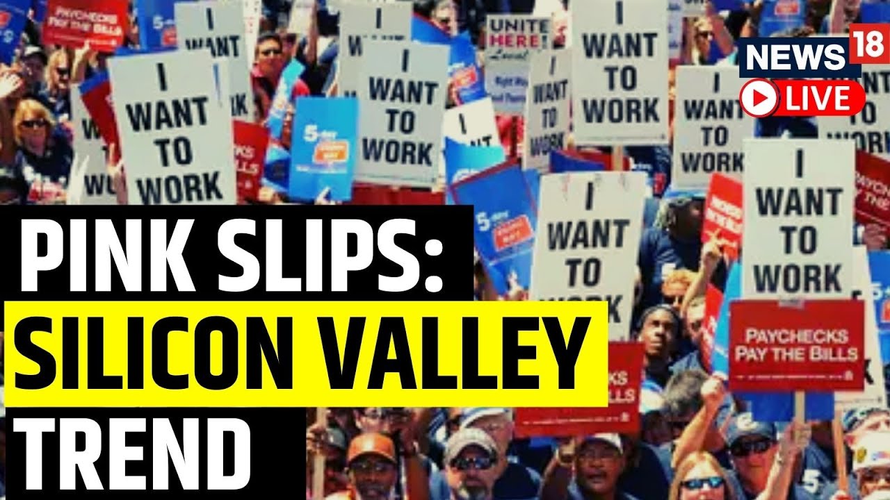 USA News Live | Big Job Cuts Across USA Tech Industry | Silicon Valley News | English News Live