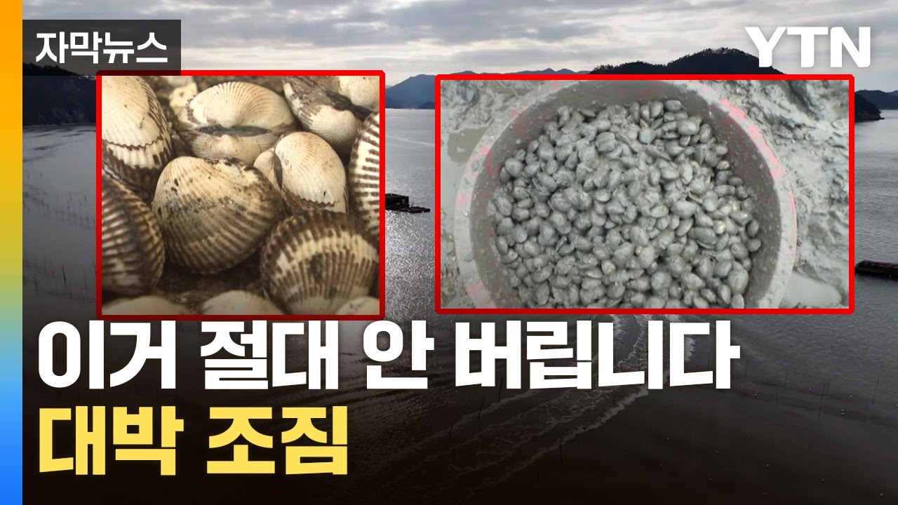[자막뉴스] 굴&middot;전복&middot;꼬막&middot;바지락...보물이 된 껍데기 / YTN