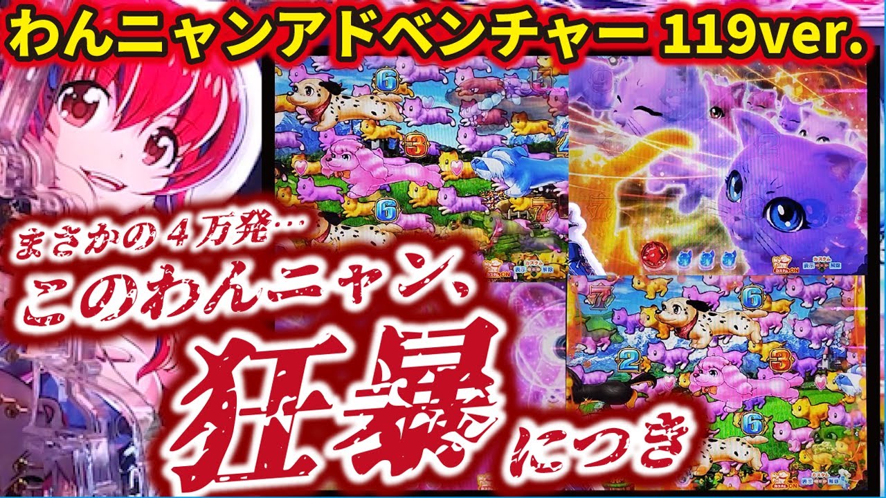 【やばいやばい】Pわんニャンアドベンチャー119ver. 2024/03/23【マジでヤバイ】