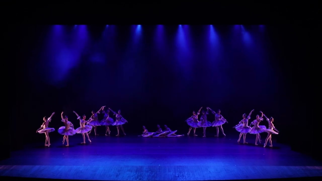 Don Quixote - Sonho - Ballet Vera Bublitz