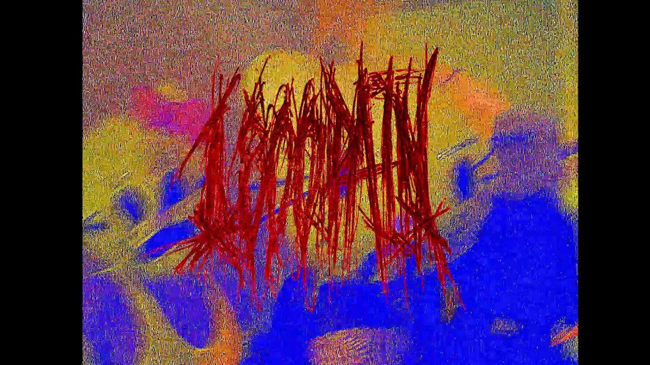 1 800 PAIN - FREAKOUT (OFFICIAL VIDEO)