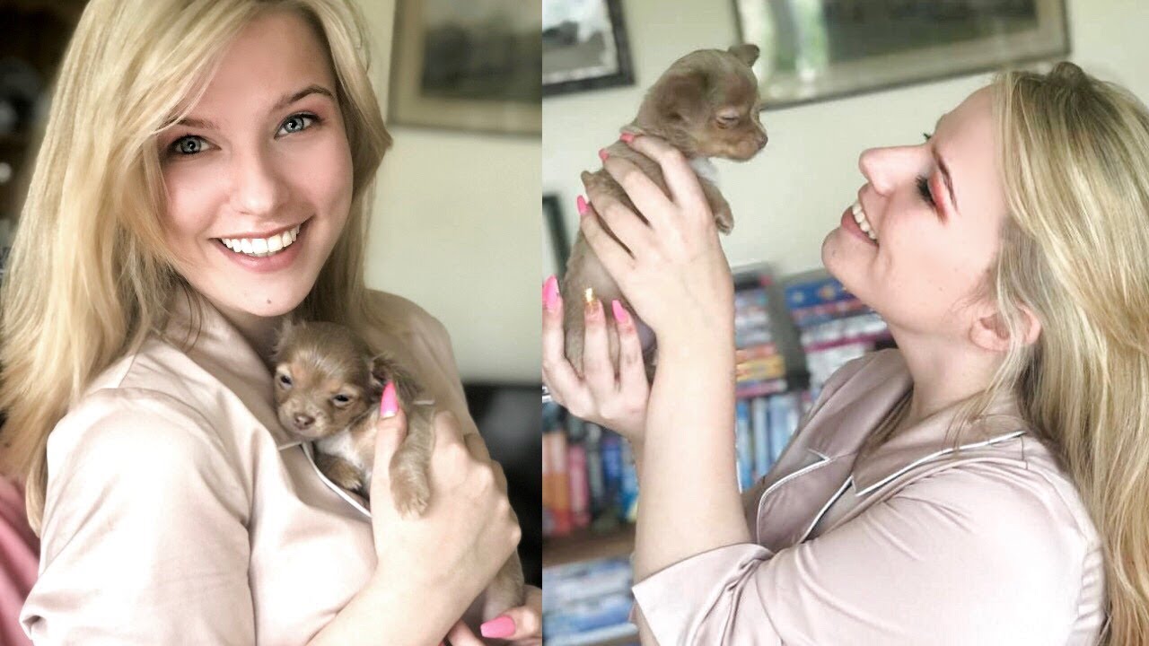 BRINGING MY BABY CHIHUAHUA HOME!!