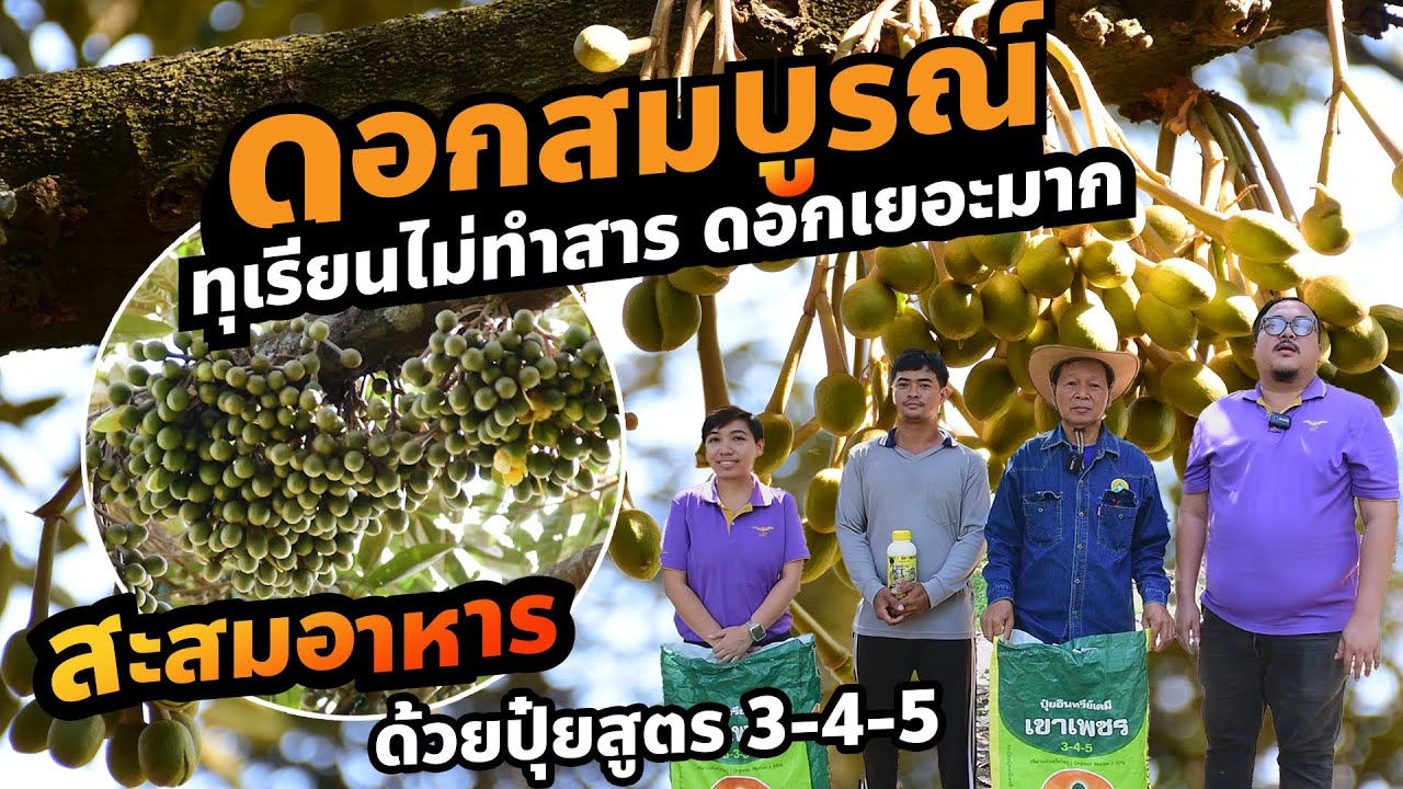 สวนลุงแอ๊ด ไม่ได้ทำสาร แตกใบอ่อนพร้อมดอก เดินชมสวน Part 2/2