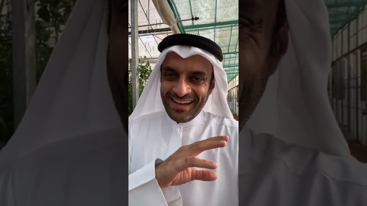 مزرعة في عنيزة تنتج بأحدث الطرق الزراعية في العالم
