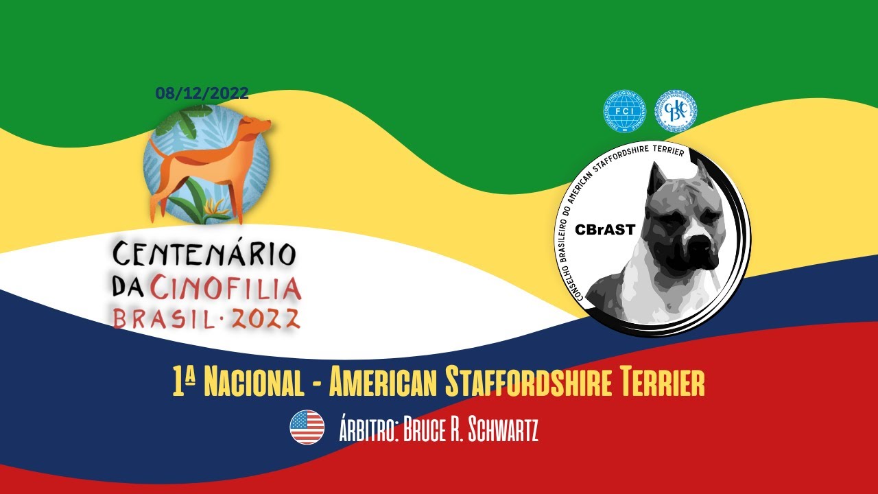 1º Nacional de American Staffordshire Terrier  -  Centenário   CBKC