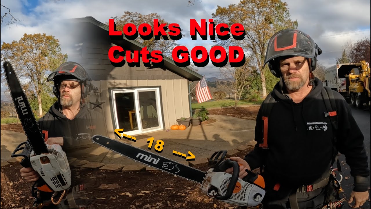 STIHL 201 w/ 18