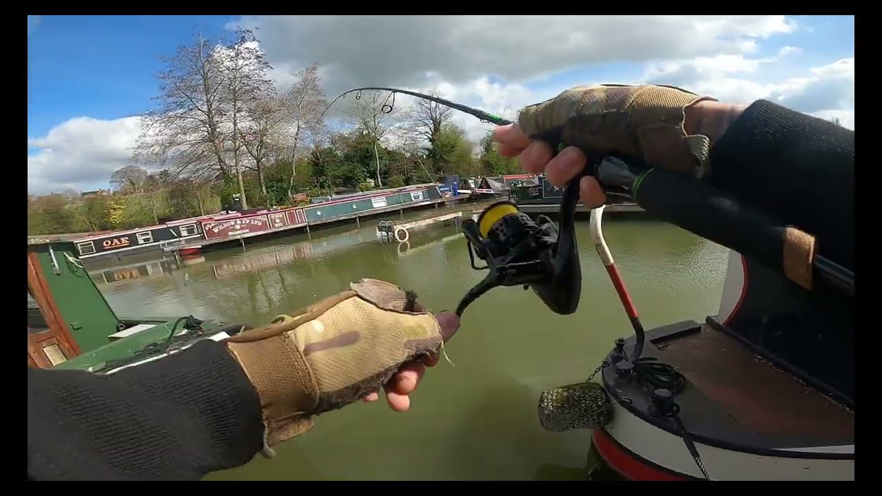Lure fishing for perch and zander on Grand Union Canal.