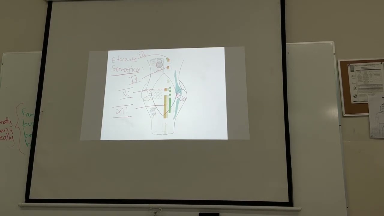 Clase jueves 19 de febrero