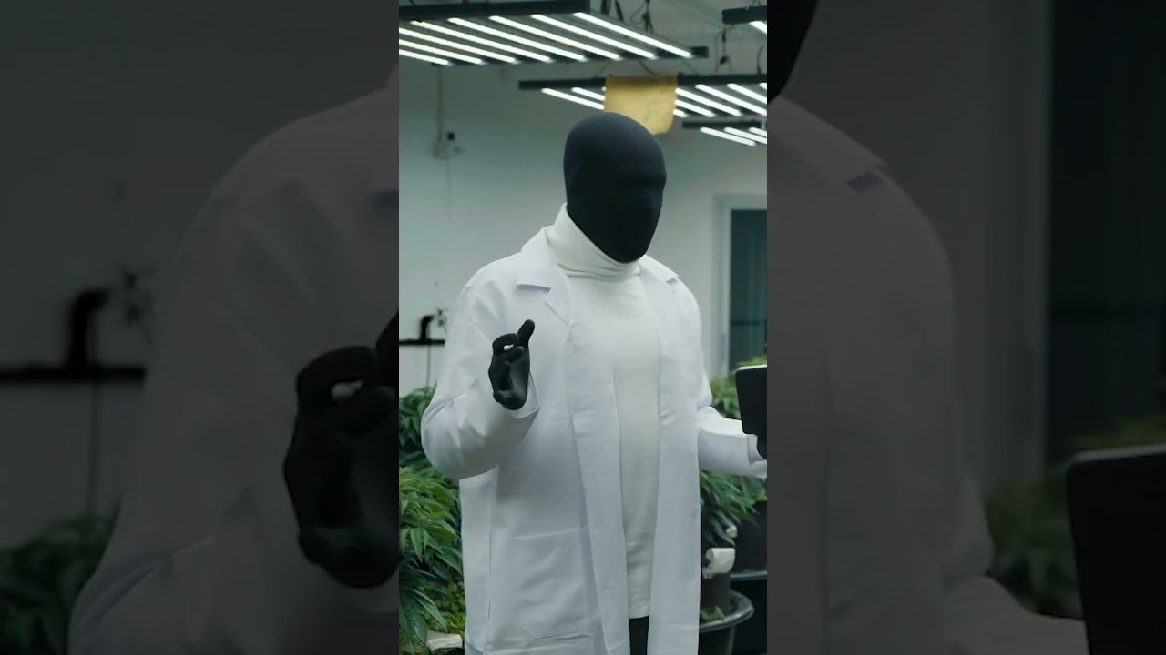 Где лучшая травка.