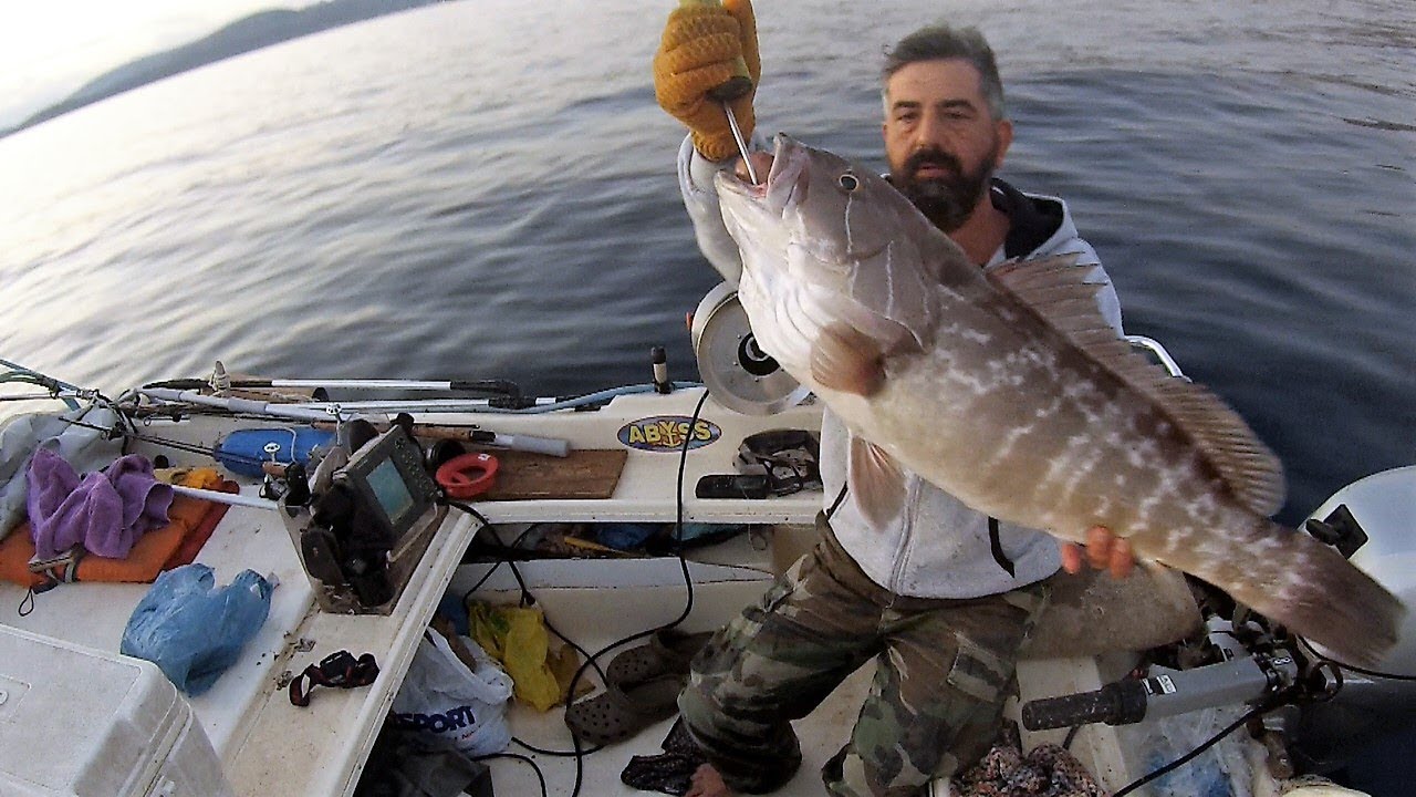 Μηχανισμός Συρτής Βυθού Abyss από την Dolphin Fishing