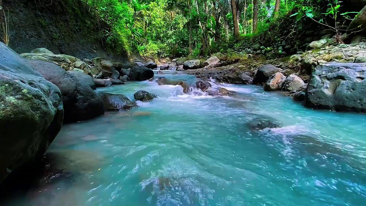 Mountain Stream Water Noise, Forest River Flow, Sleep