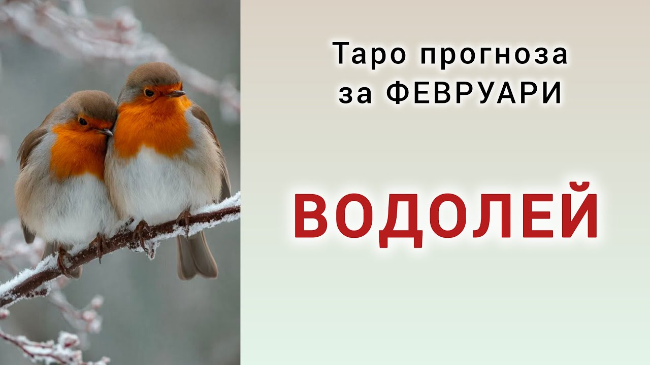 ВОДОЛЕЙ ♒ Таро прогноза за ФЕВРУАРИ 2026 #хороскоп #водолей #tarot