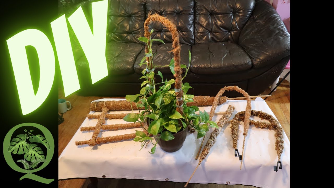 DIY 4 Types of Moss Poles