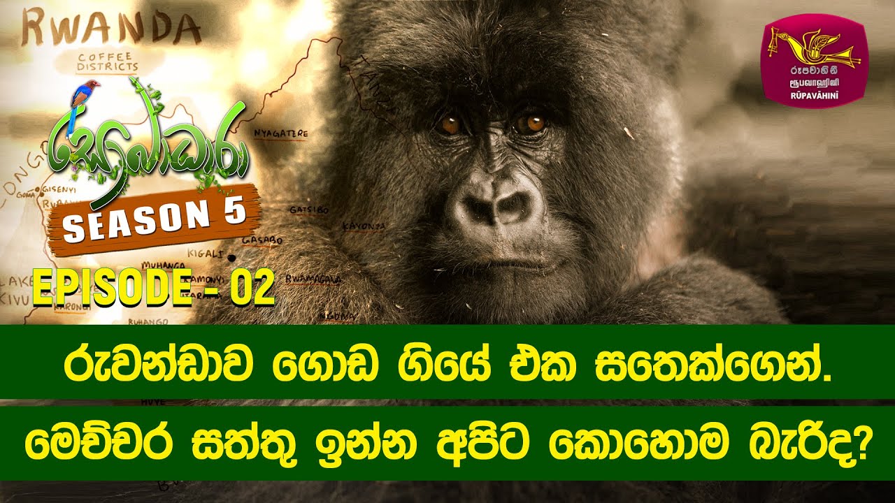 SOBADHARA - SEASON 05 | EPISODE -02 | 2023-05-27 | RUWANDA GORILLAS
