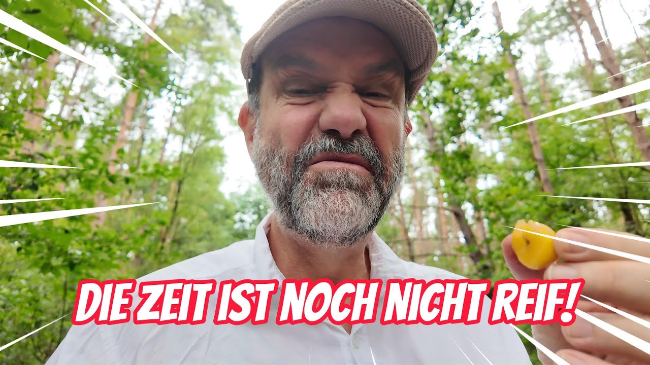 TAG 10: Hangelsberg - Bad Saarow – 66-Seen-Wanderung Vlog | Brandenburg Natur & Wandern