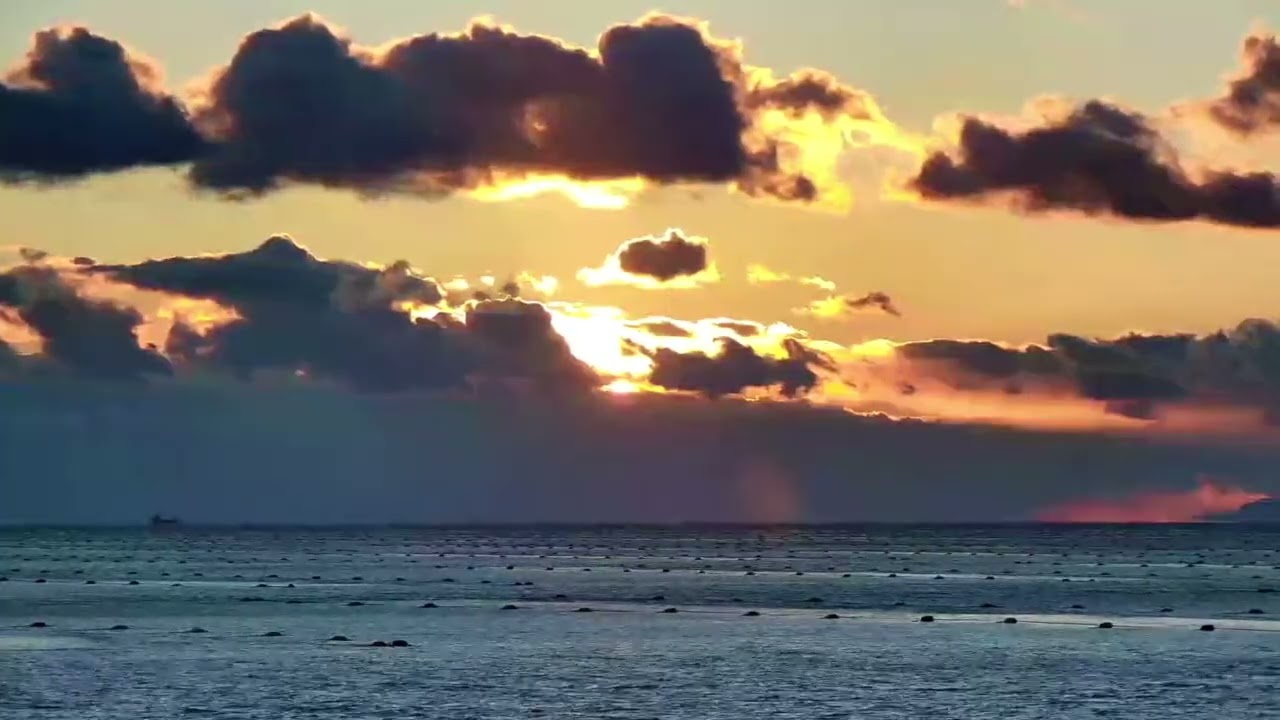 Live stream fragment – Sundown – Jan 8, 2026