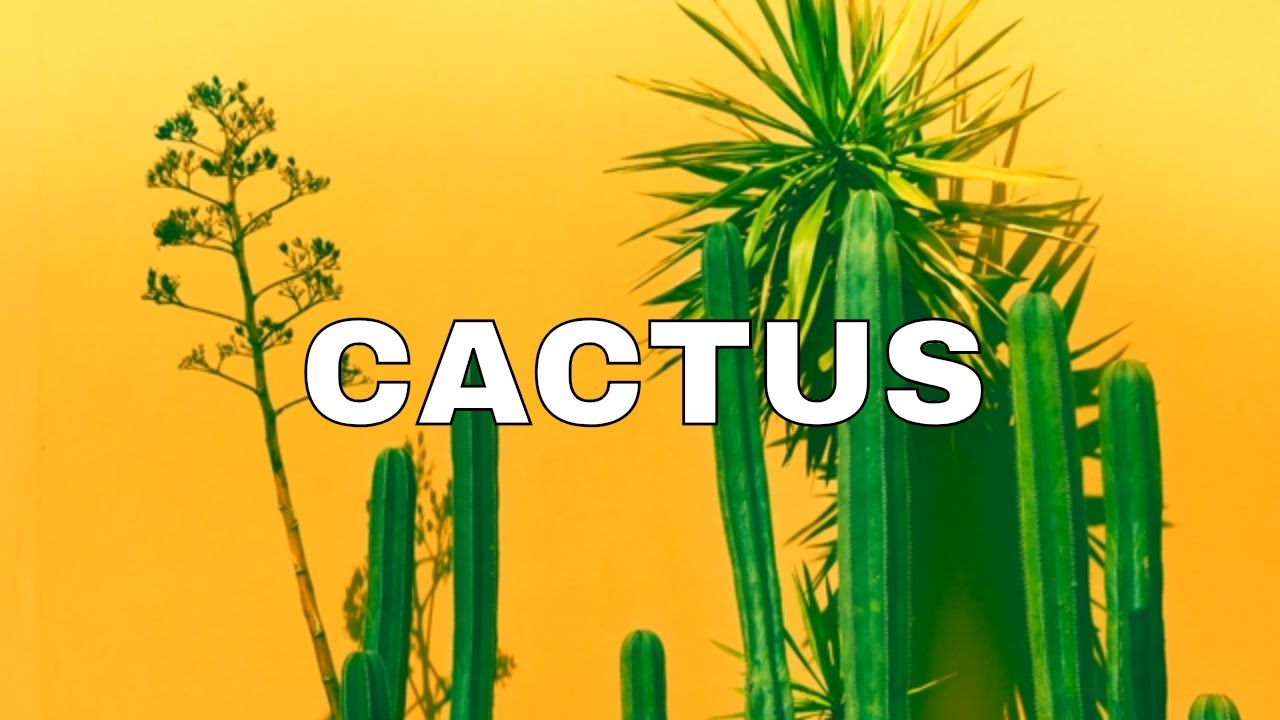 Travis Scott x Quavo x Drake Type Beat Instrumental 2019 "CACTUS"