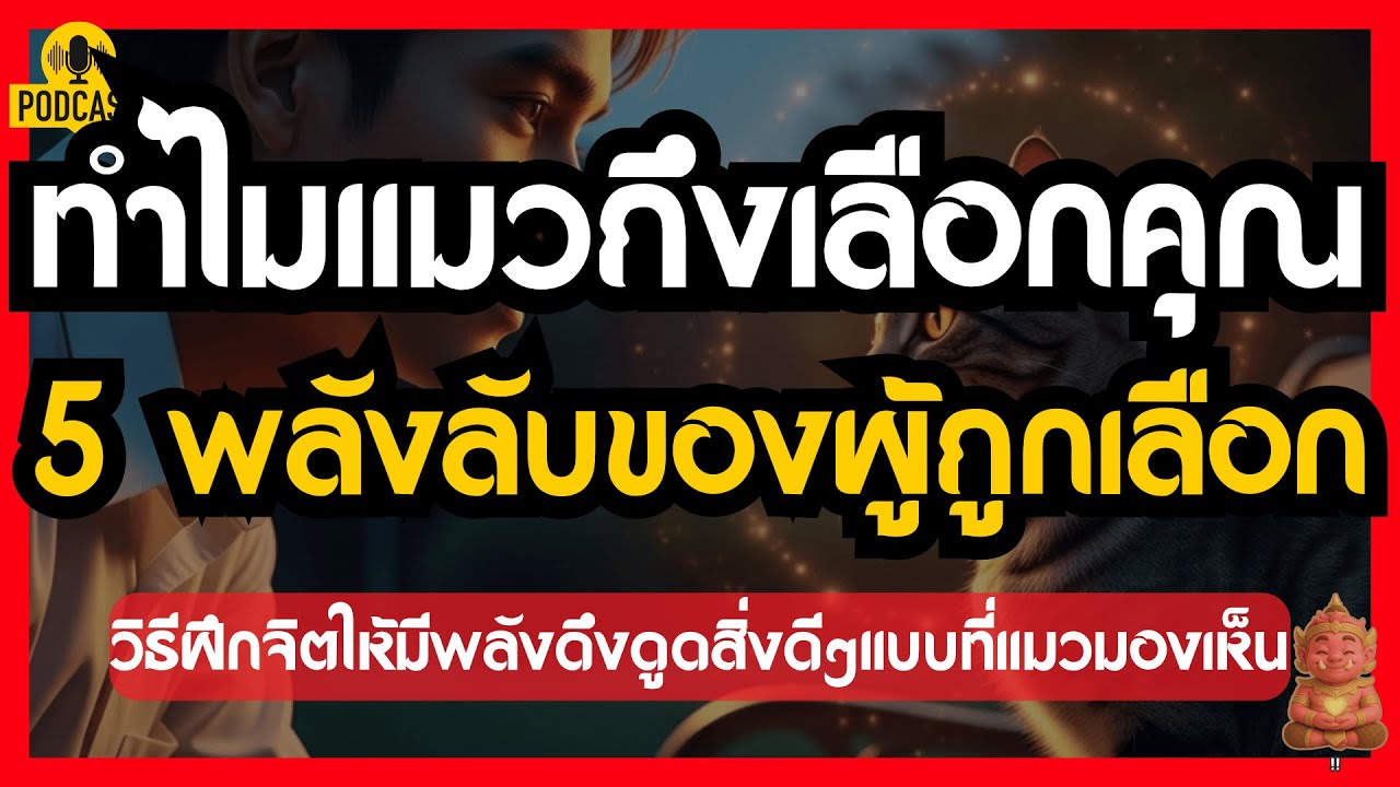 ทำไมแมวถึงเลือกคุณ? เผย 5 พลังลับของผู้ถูกเลือกที่ซ่อนอยู่ในตัว #ปลุกยักษ์ในใจ