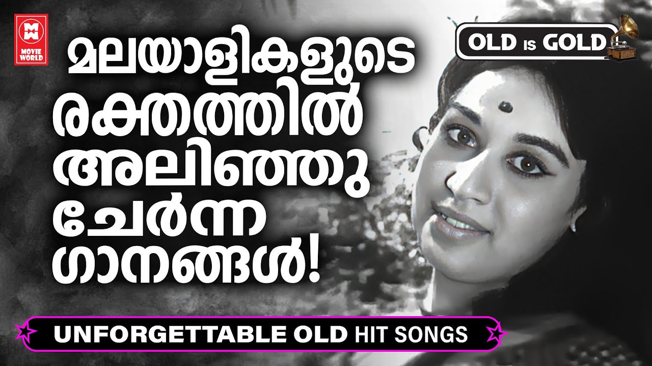 നമ്മുടെ ശൈലിയിൽ നമ്മുടെ അഭിരുചിക്കനുസൃതമായി അണിയിച്ചൊരുക്കിയ പഴയ സുന്ദര ഗാനങ്ങൾ | Old Is Gold