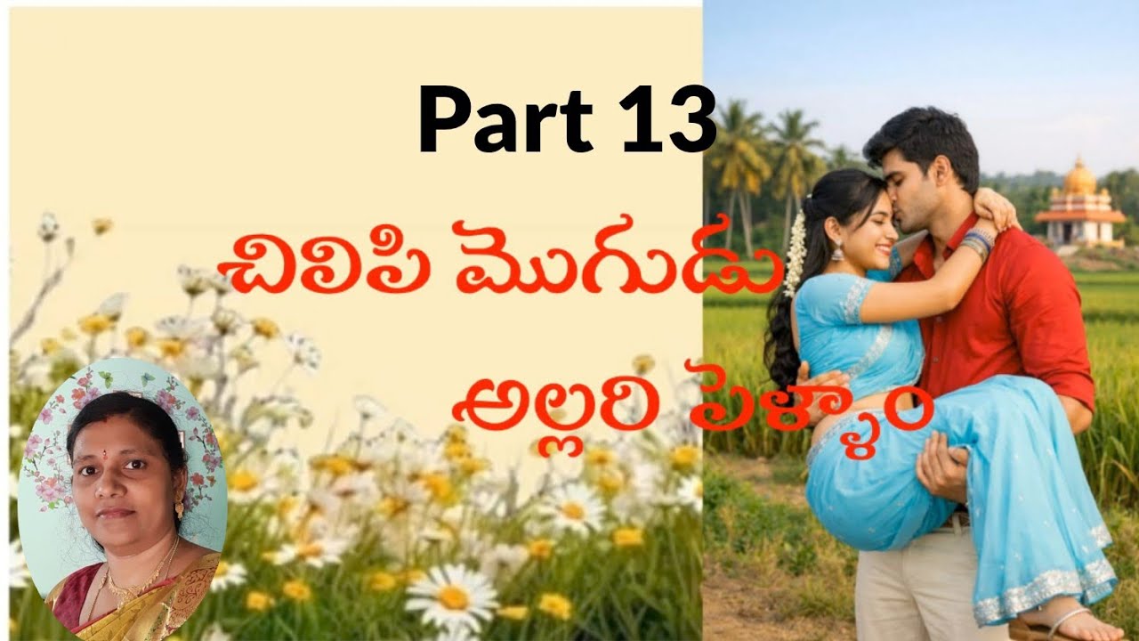 Part 13#అనన్య కన్ఫ్యూజన్#చిలిపి మొగుడు-అల్లరి పెళ్ళాం#Love&familyentertainerseris#అందరికి నచ్చే కథ